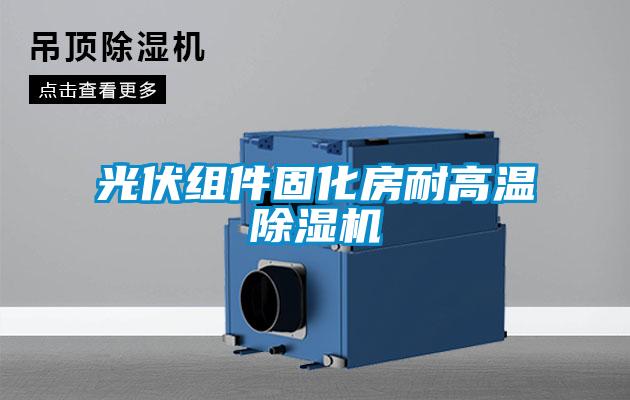 光伏组件固化房耐高温除湿机