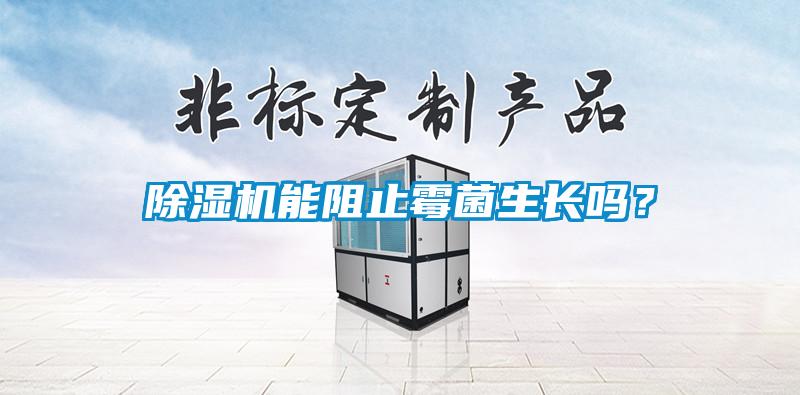 除湿机能阻止霉菌生长吗?