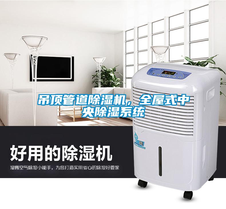 吊顶管道除湿机，全屋式中央除湿系统