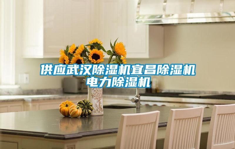 供应武汉除湿机宜昌除湿机电力除湿机
