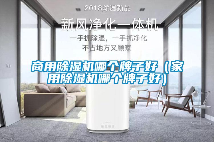 hth体育登
哪个牌子好（家用除湿机哪个牌子好）