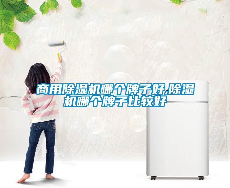 hth体育登
哪个牌子好,除湿机哪个牌子比较好