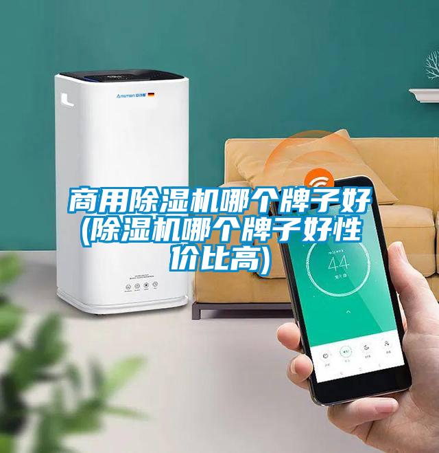 hth体育登
哪个牌子好(除湿机哪个牌子好性价比高)