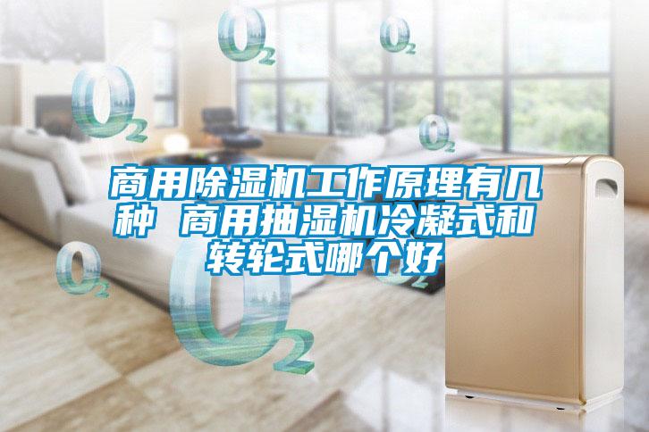 hth体育登
工作原理有几种 商用抽湿机冷凝式和转轮式哪个好