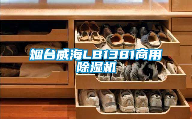 烟台威海LB1381hth体育登
