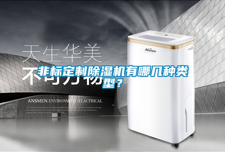 非标定制除湿机有哪几种类型？